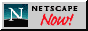 Netscape NOW!