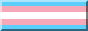 trans pride flag